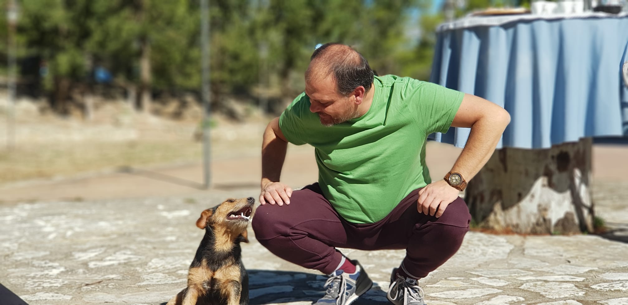 Ottaviano, Responsabile Gestionali